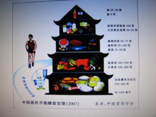 （图文）什么是中国居民平衡膳食宝塔？